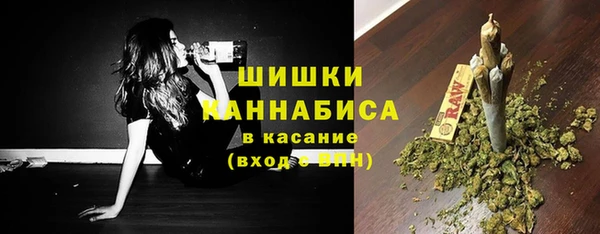 дурь Бронницы