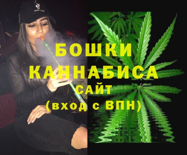 трава Бородино