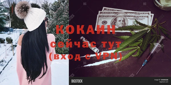 трава Бородино