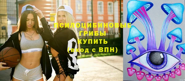 дурь Бронницы