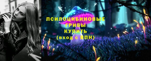 дурь Бронницы