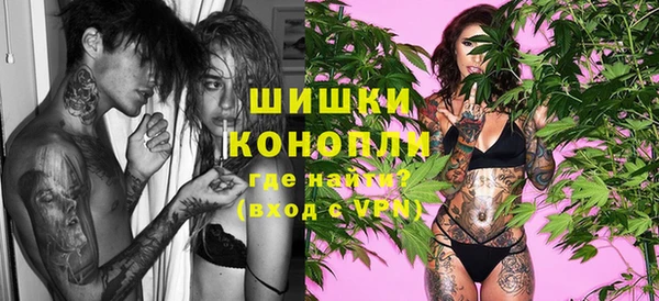 дурь Бронницы