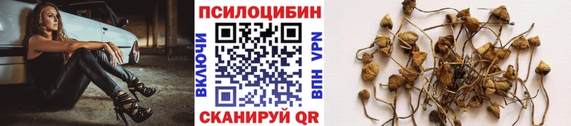Галлюциногенные грибы ЛСД  MEGA как зайти  Дегтярск 